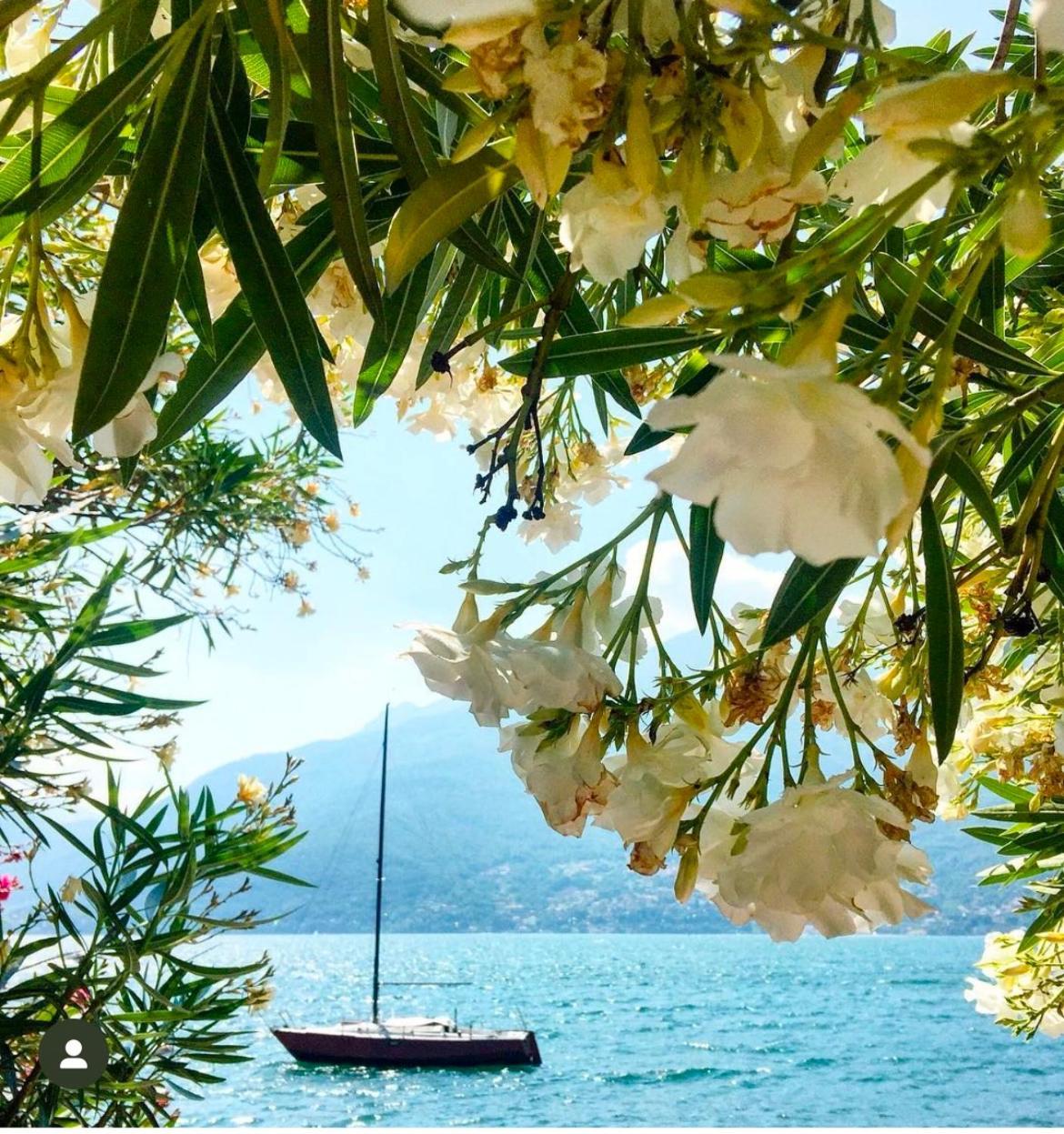 Casa Didi & Rosi - Lake Como Коліко Екстер'єр фото